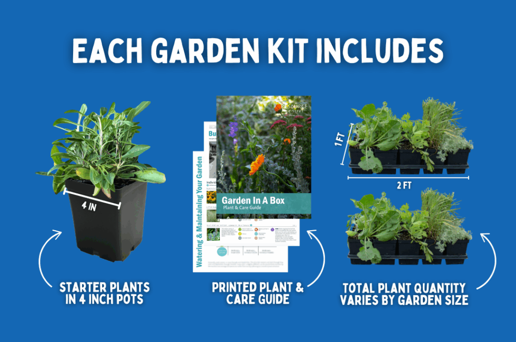 Garden In A Box What To Expect Graphic Graphic including image of a starter plant, a stack of paperwork and a tray of plants with the text: "Each garden Kit Includes: Starter plants in 4-inch pots; Printed Plant & Care Info; and Total Plant Quantity may vary based on garden size"
