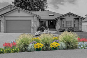 Artist rendering of a mature Biodiversity Nursery garden