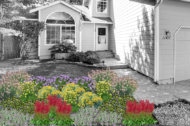Shades of Summer