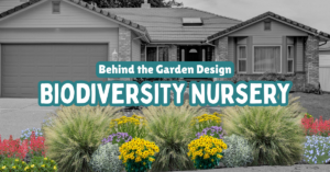 colorful garden rendering with text reading behind the garden design biodiversity nursery