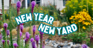 colorful garden with purple and yellow blooms with text reading new year new yard