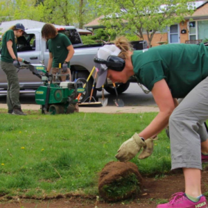 New Year New Yard Blog Photo 2