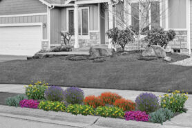 Artist rendering of a mature Rainbow Lane garden