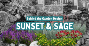 Image of a garden with the text "Behind the Garden Design: Sunset and Sage"