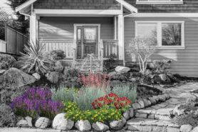 Artist rendering of a mature Sunset & Sage garden