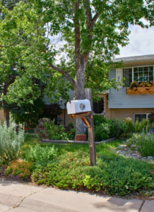 front yard with plants, trees, and a white mailbox
