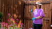 A person wearing a wide-brimmed hat, purple shirt, and blue gloves is holding a garden tool while standing next to pink flowers. They are in a garden with a wooden fence in the background.