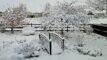 a backyard garden with a bridge, covered in snow