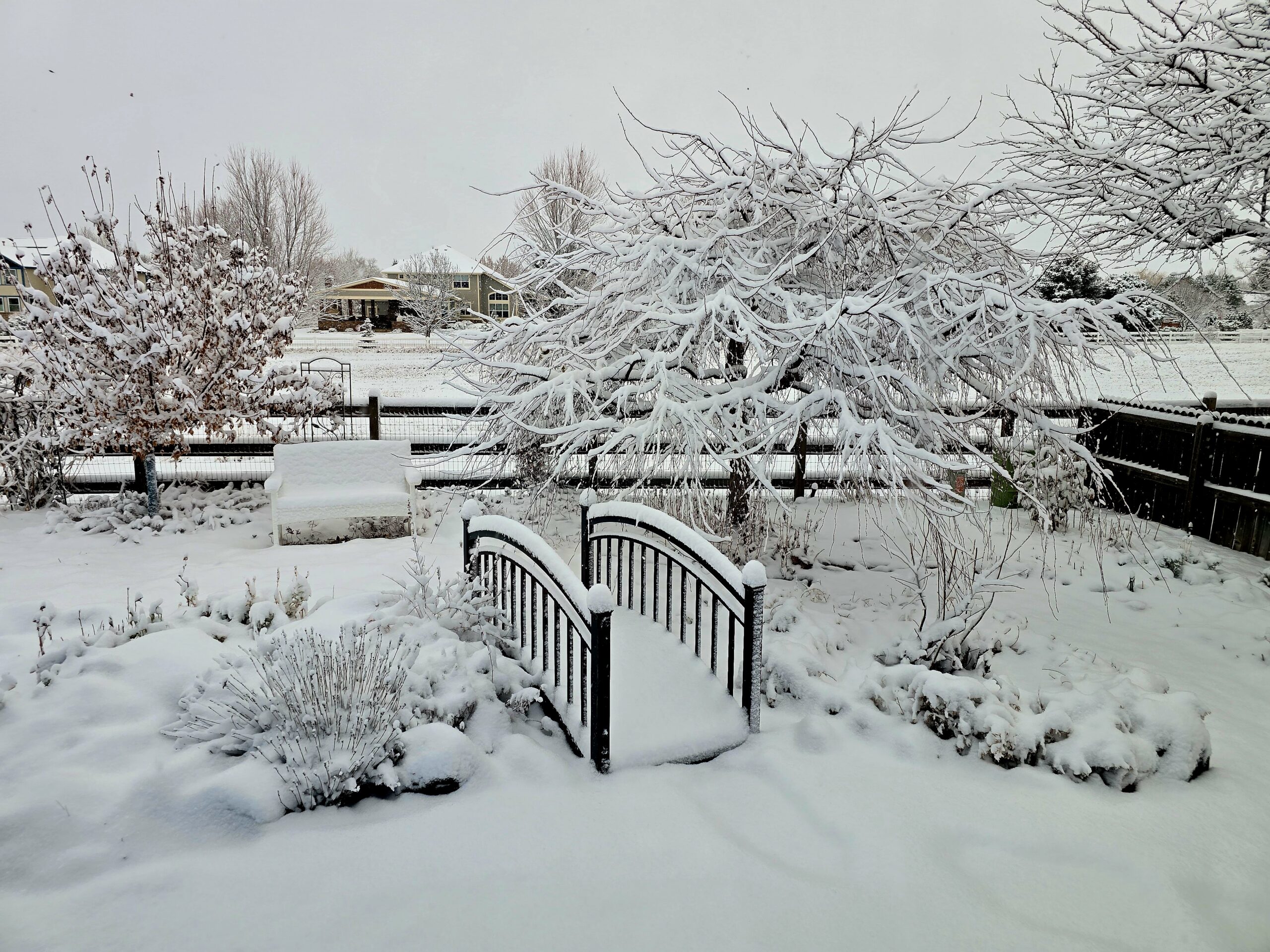 a backyard garden with a bridge, covered in snow