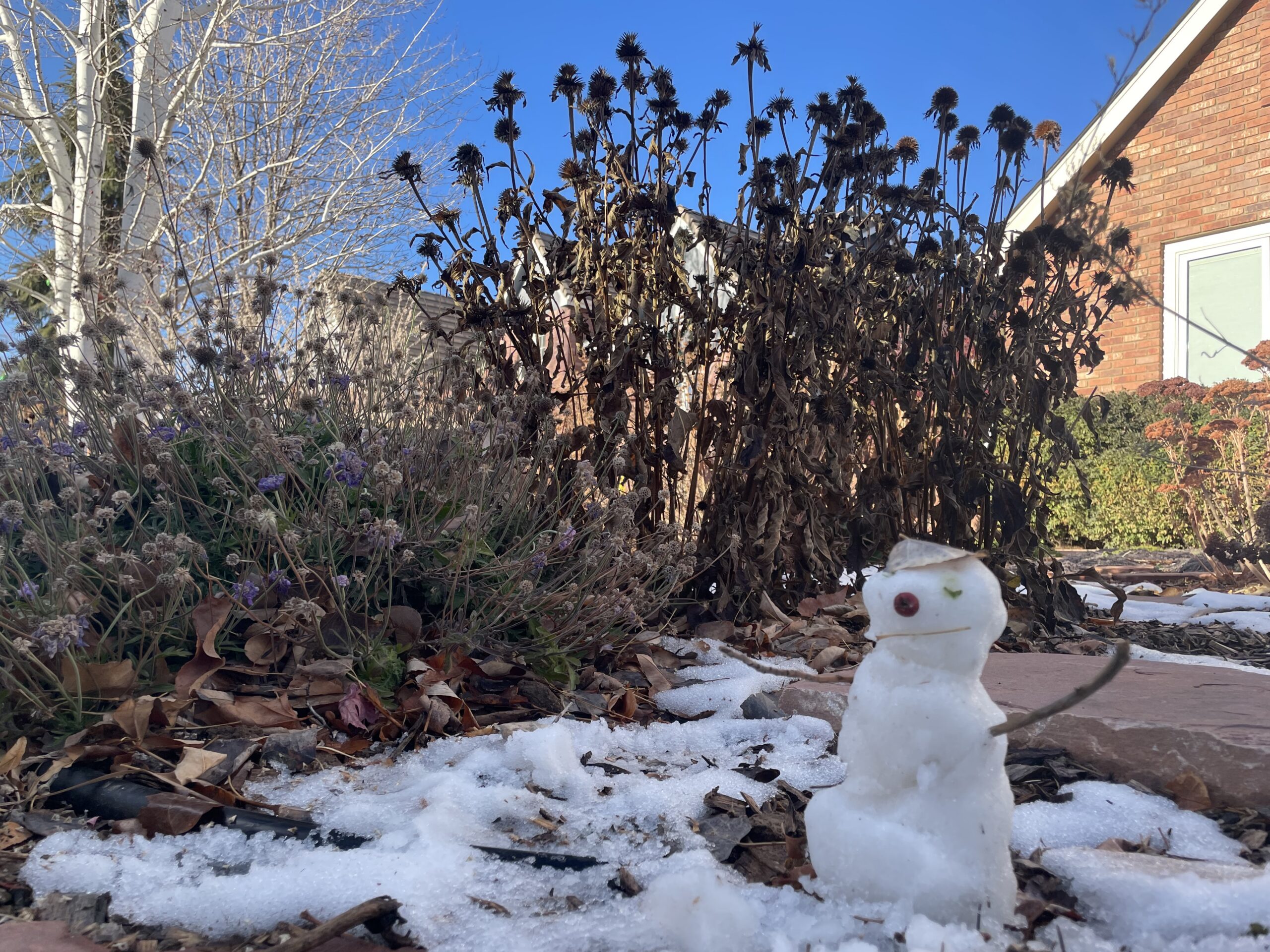 a mini-snowman in front of waterwise plants