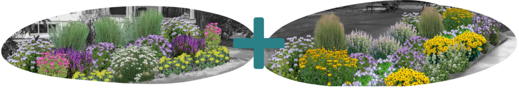 Image of Pollinator peak rendering plus an image of Mountain blooms rendering