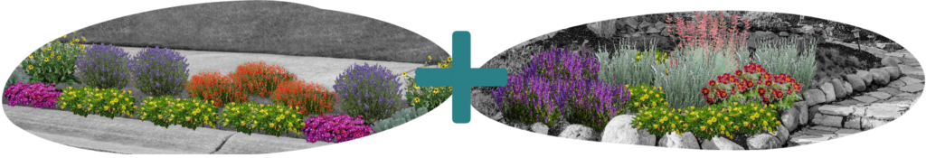 Image of Rainbow Lane rendering plus an image of Sunset & Sage rendering