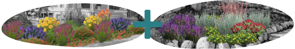 Image of Boogie Bees rendering plus an image of Sunset & Sage rendering