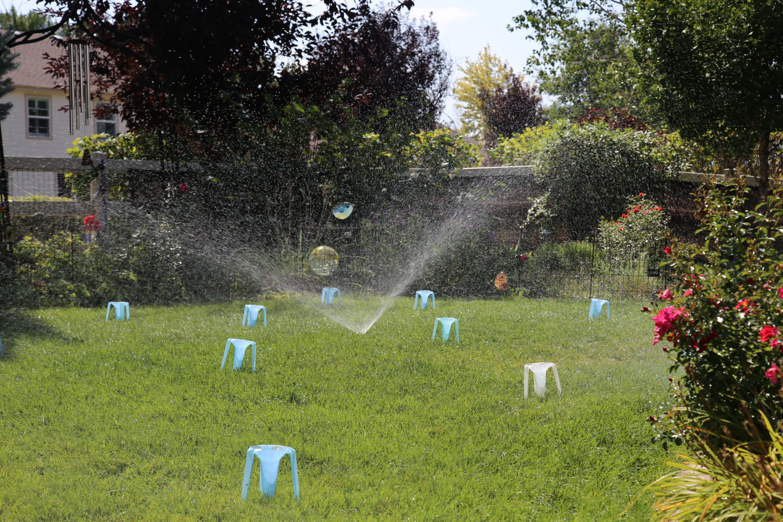 A sprinkler spraying water over a yard with blue water collection cups spread out.