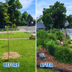 Lawn Removal Before and After Post 2026