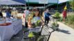 A person holds two potted plants, smiling at the camera, with a shopping cart full of plants and a Resource Central logo in the background at an outdoor market.