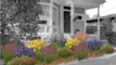 Artist rendering of a mature Boogie Bees garden