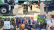 A collage of photos recapping the record-breaking June 6 Plant Sale conservation impact