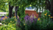 purple and yellow flowers in a garden under a shaded tree