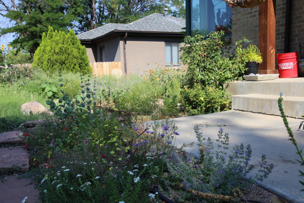 patio from a house surrounded by colorful plants