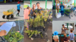 A collage of photos from the Plant Sale