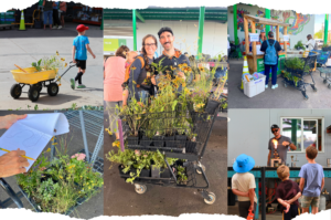 A collage of photos from the Plant Sale