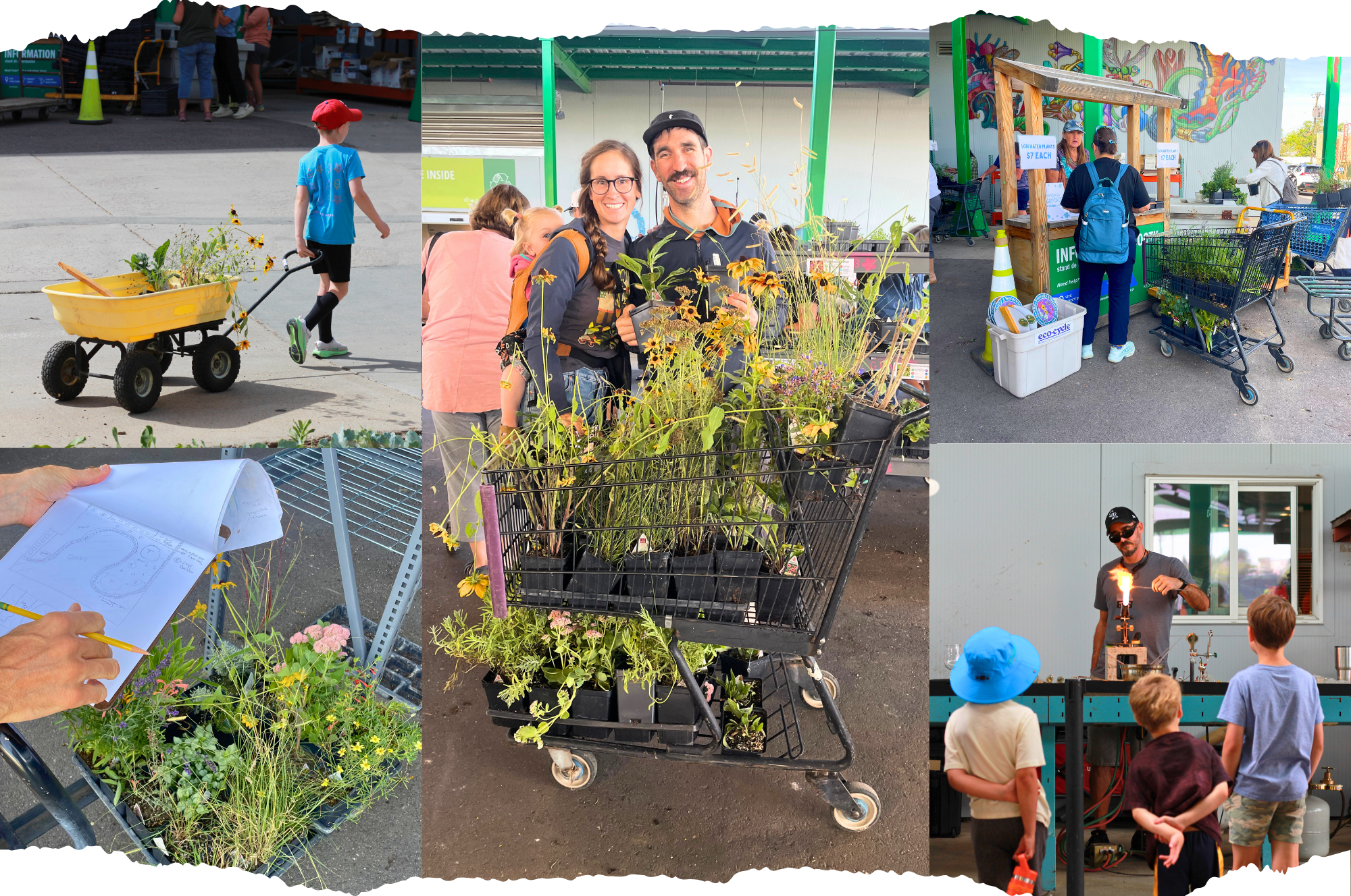 A collage of photos from the Plant Sale