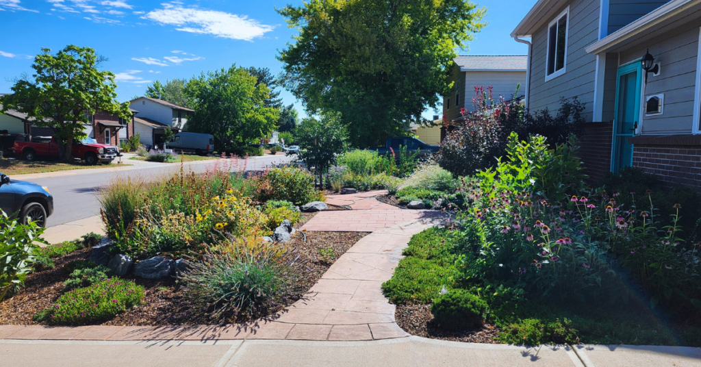 Kristi's landscape transformation