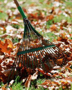 rack with fall leaves