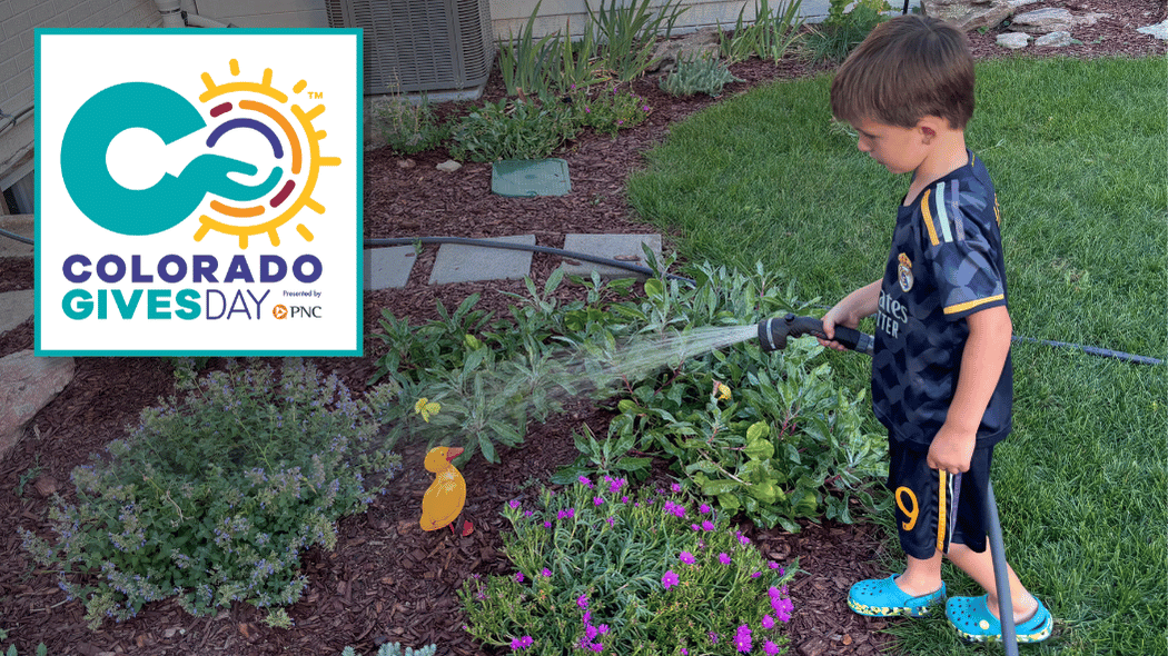 A child waters Garden In A Box plants with a garden hose, standing on a green lawn beside rows of purple and green plants and small decorative yard stones with the Colorado Gives Day "CO" logo in the upper left corner.
