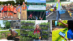 A collage of photos of Resource Central. You're encouraged to give to support local conservation!