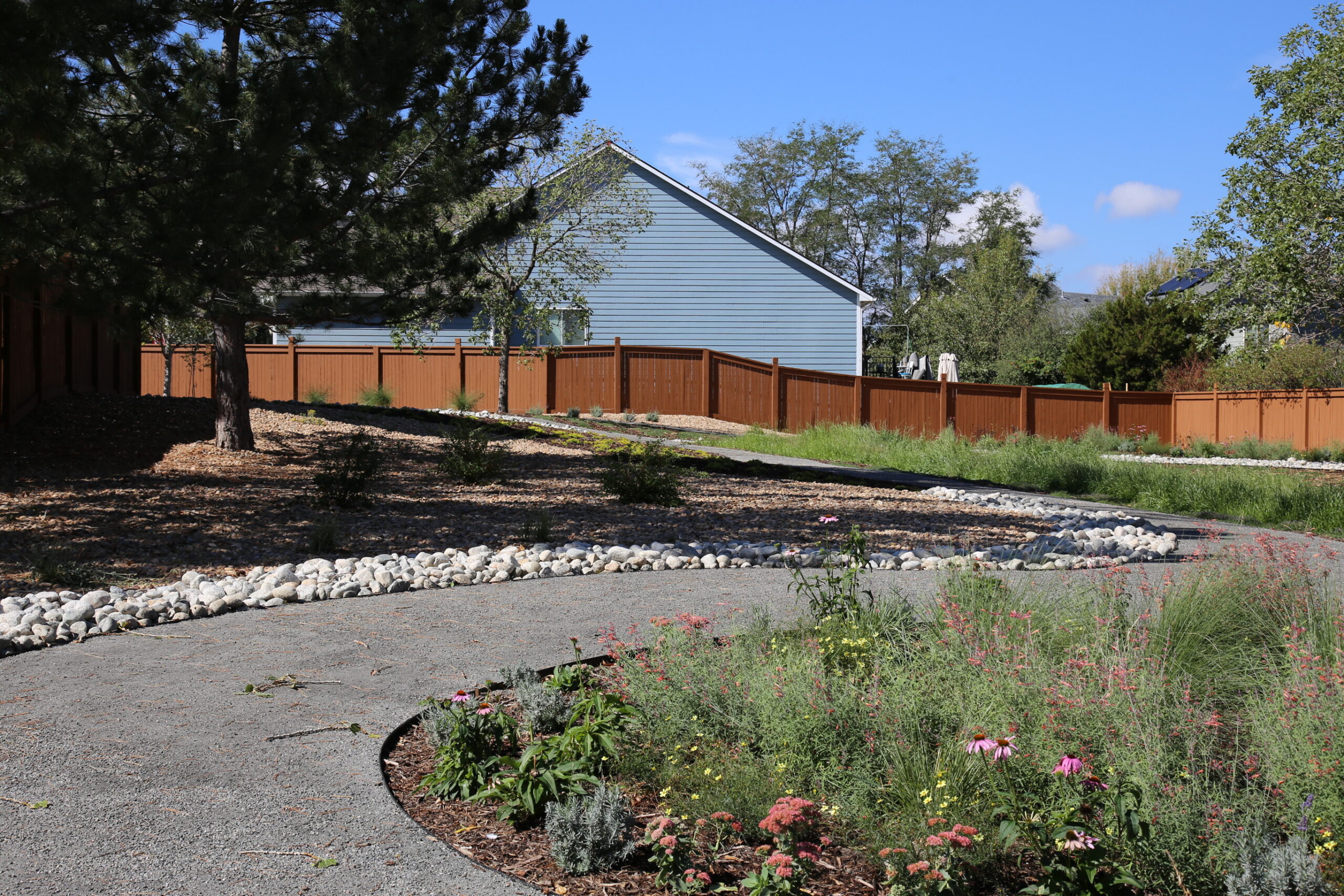 a grey gravel footpath curves through a landscape of grasses and flowering plants