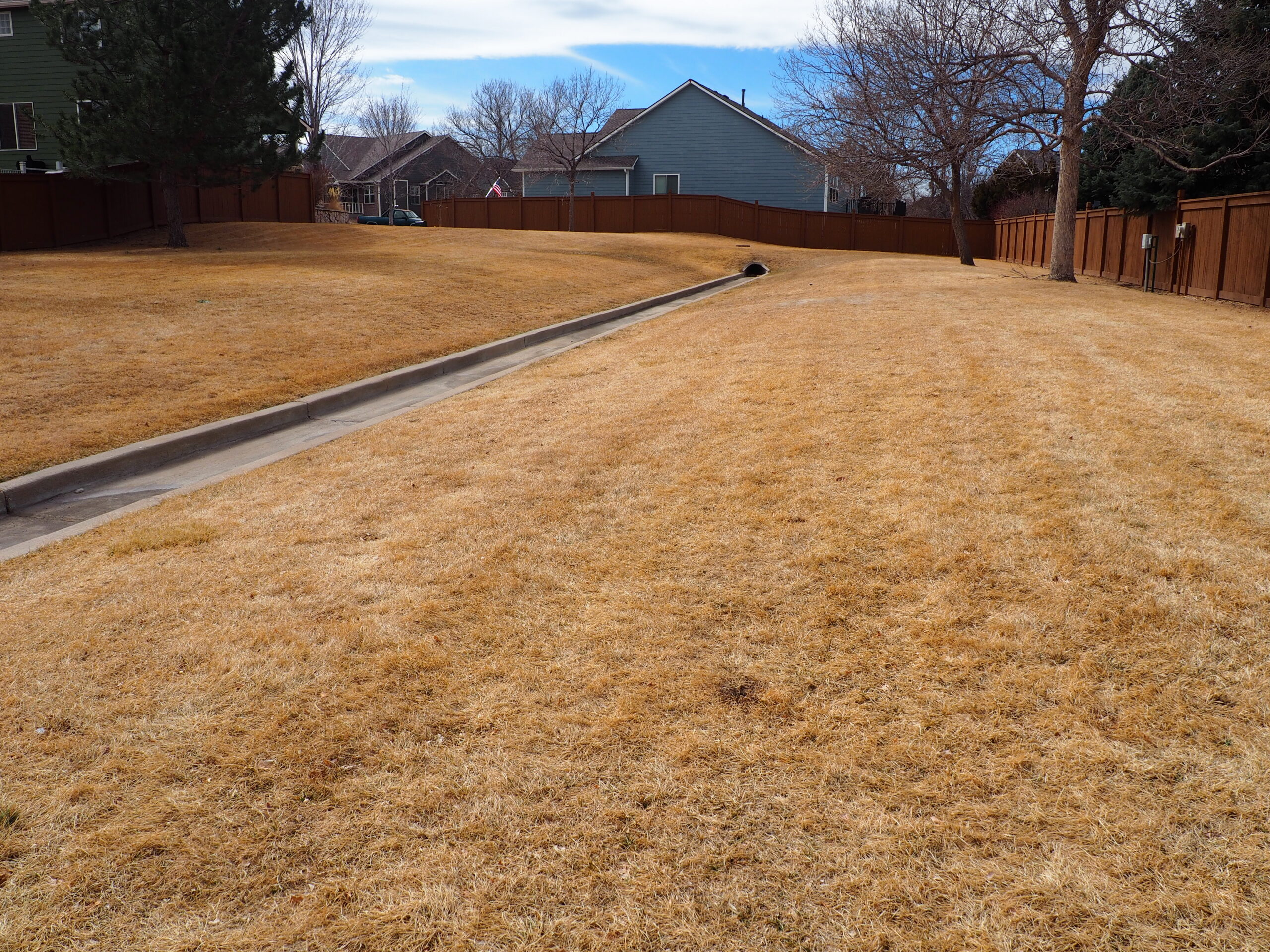a field of dormant, brown kentucky bluegrass with a concrete drainage ditch